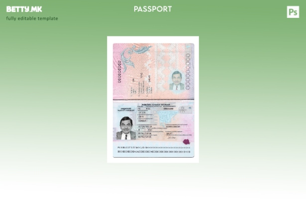 Модерен стил Романски пасош подарок дефиниција